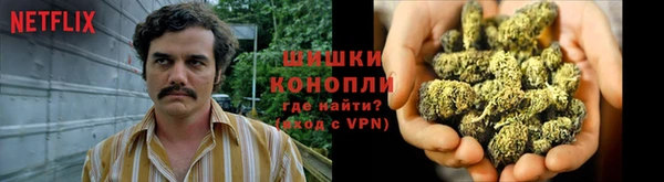 сатива Богородицк