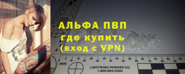 сатива Богородицк