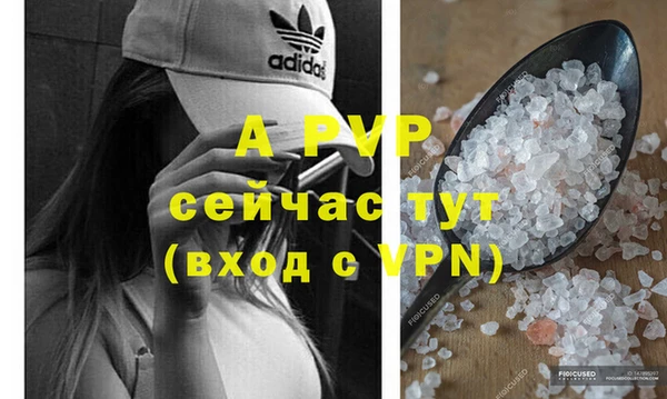 сатива Богородицк