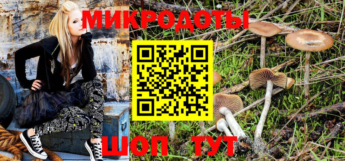 Галлюциногенные грибы прущие грибы Дагестанские Огни