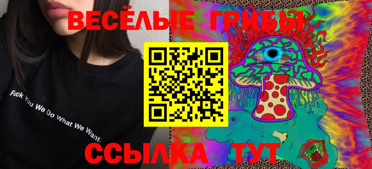 Галлюциногенные грибы Psilocybe Дагестанские Огни